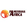 Pamushana Blogger